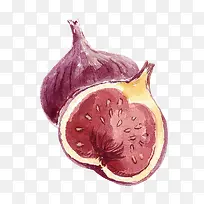 插画 洋葱 风格