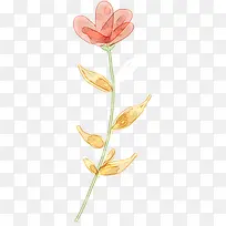 手绘彩绘合成花卉植物效果