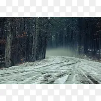 雪路冬季森林寒冷