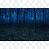 神秘蓝色森林绿草地