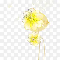 梦幻黄色花卉