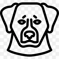 伯恩山犬图标