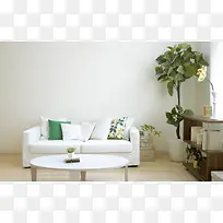 室内绿植现代沙发