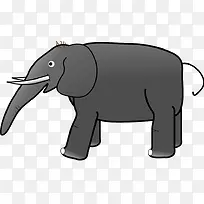 灰色大象