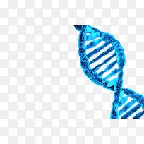 蓝色生命DNA