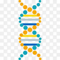 DNA基因