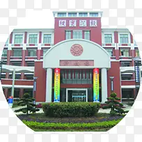 学校教学楼建筑植物校园