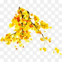 枫叶黄色秋天
