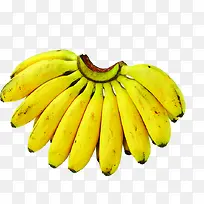 黄色成熟香蕉水果