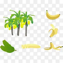 矢量香蕉树插图