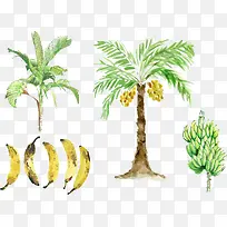 矢量图香蕉树原图