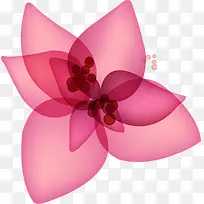 粉色花卉韩式海报
