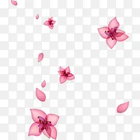 粉色花卉韩式展架