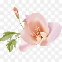粉色花卉名片模板