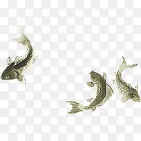 水墨画鲤鱼游动中秋