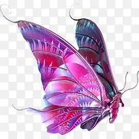 粉色翅膀蝴蝶