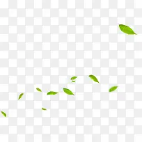 绿色树叶漂浮设计