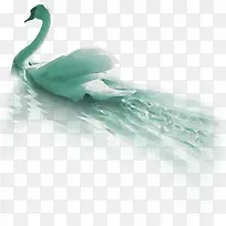鹅