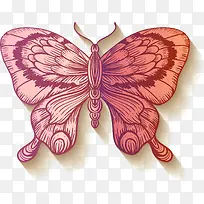 粉色蝴蝶标本