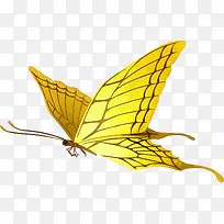 黄色蝴蝶效果设计
