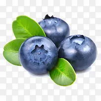 新鲜蓝莓水果营养