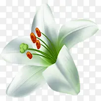 白绿色春季文艺小花