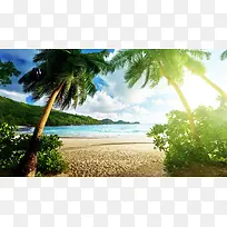 椰树海洋沙滩度假