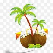 热带的椰子树和椰子
