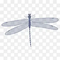 灰色的卡通蜻蜓