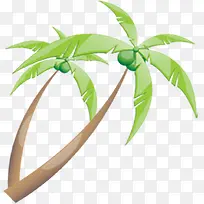 椰子树椰果绿