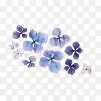紫色干花