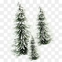 雪中元旦植物装饰