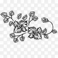 素描花