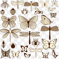 蝴蝶和飞蛾昆虫矢量