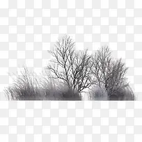 水墨冬季树木素材图片
