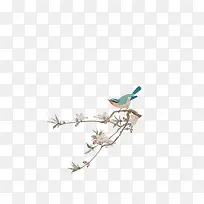 蓝色小鸟树枝上的小鸟