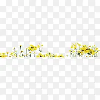 黄色春季小花装饰