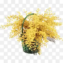 竹篮里的黄色小花