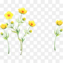手绘黄色小花植物生命力