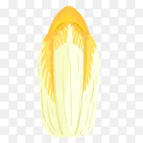 手绘的白菜