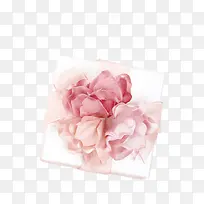 粉色花朵礼物盒