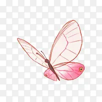 粉红色的小蝴蝶