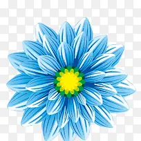 蓝色的花朵png