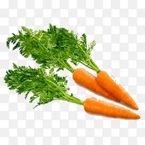 胡萝卜蔬菜维生素新鲜