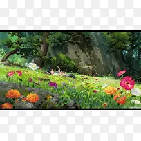唯美草地原野花朵