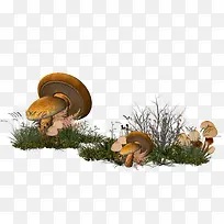 卡通，蘑菇，草，装饰-1