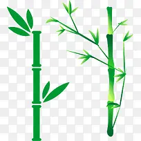 竹子，青竹，绿竹