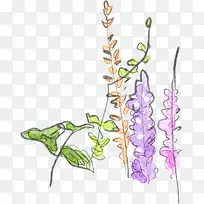 彩色手绘植物花朵