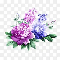 温馨彩色手绘花朵植物