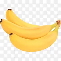 新鲜的三支香蕉